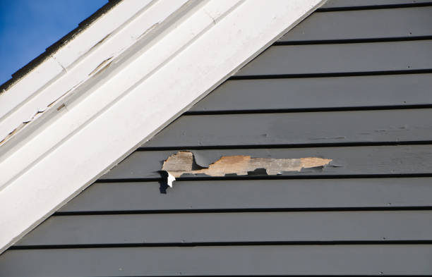 Best Custom Siding Design  in Florham Park, NJ